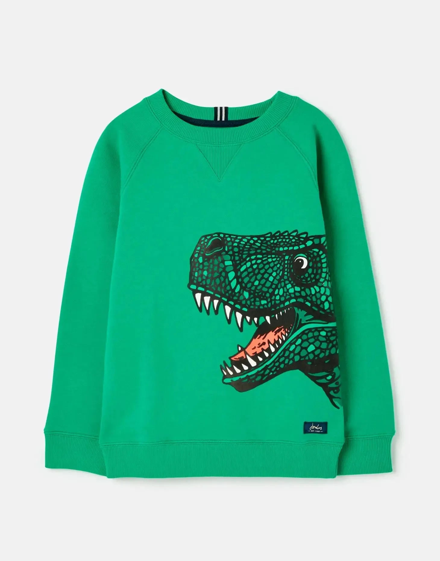 Boys' Ventura Artwork Crew Neck Sweatshirt | Joules