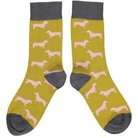 Ladies Lime & Slate Sausage Dog Organic Cotton Ankle Socks